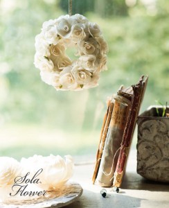 sola_image_1